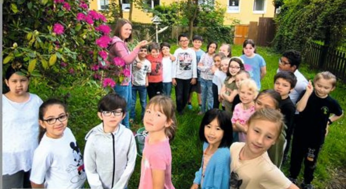 Nessis grünes Klassenzimmer