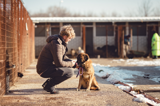 Hilfe für sozial schwache Menschen und ihre Tiere