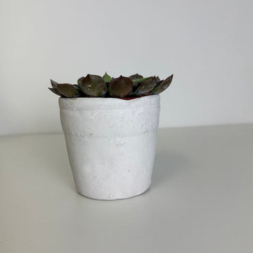 Keramik-Übertopf, weiß